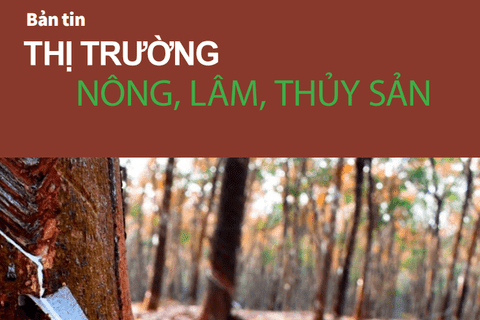 Bản tin Thị trường nông, lâm, thủy sản số ra ngày 23/2/2026