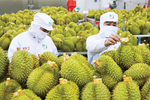 Điểm báo ngành Công Thương ngày 20/3/2026