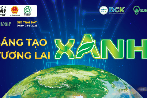 Sau 1 giờ tắt đèn hưởng ứng Giờ Trái đất 2026 cả nước tiết kiệm được 463.000 kWh