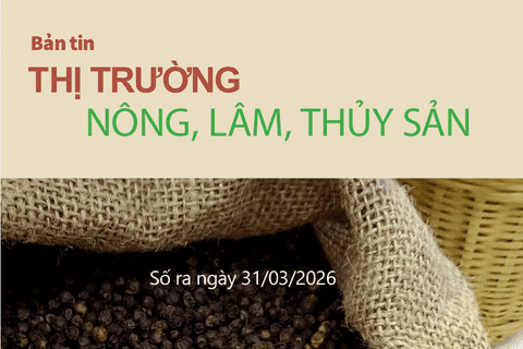 Bản tin Thị trường nông, lâm, thủy sản số ra ngày 31/3/2026
