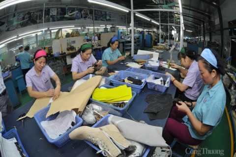 Việt Nam - Ấn Độ thúc đẩy kết nối chuỗi cung ứng da giày