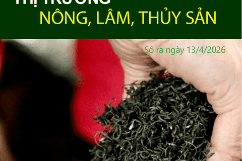 Bản tin Thị trường nông, lâm, thủy sản số ra ngày 13/4/2026