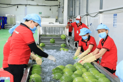 Điểm báo ngành Công Thương ngày 15/4/2026