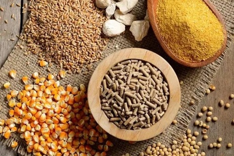 EU sửa đổi mức dư lượng tối đa đối với hợp chất đồng trong thực phẩm và thức ăn chăn nuôi