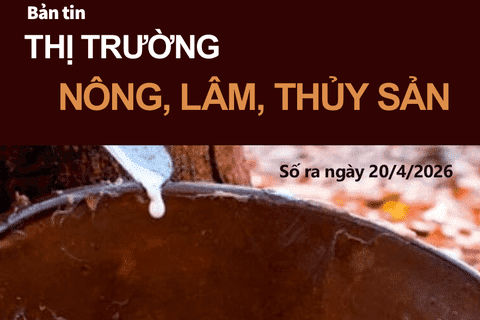 Bản tin Thị trường nông, lâm, thủy sản số ra ngày 20/4/2026