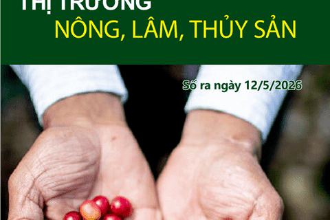 Bản tin Thị trường nông, lâm, thủy sản số ra ngày 12/5/2026