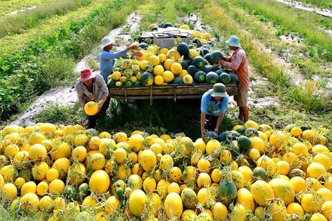 Điểm báo ngành Công Thương ngày 20/5/2026