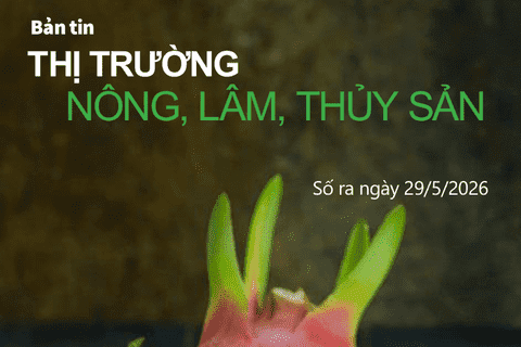 Bản tin Thị trường nông, lâm, thủy sản số ra ngày 29/5/2026