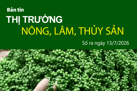Bản tin Thị trường nông, lâm, thủy sản số ra ngày 13/7/2026