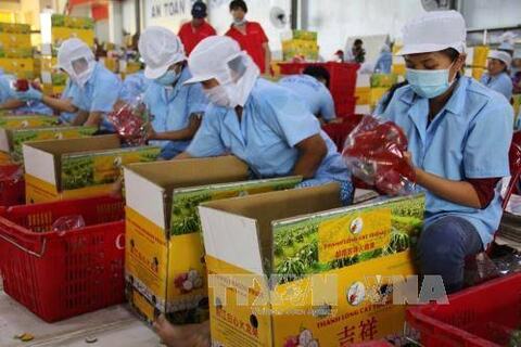 Một số nội dung của Đề tài nghiên cứu khoa học cấp Bộ: Nghiên cứu đề xuất giải pháp vượt rào cản xanh nhằm thúc đẩy xuất khẩu nông sản Việt Nam sang thị trường EU trong bối cảnh thực thi EVFTA