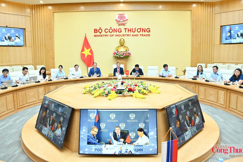 Thứ trưởng Nguyễn Hoàng Long làm việc trực tuyến với Bộ Năng lượng Liên bang Nga