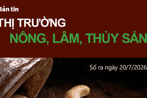 Bản tin Thị trường nông, lâm, thủy sản số ra ngày 20/7/2026
