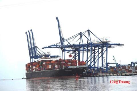 Xuất khẩu sang Singapore tiếp tục tăng trưởng cao