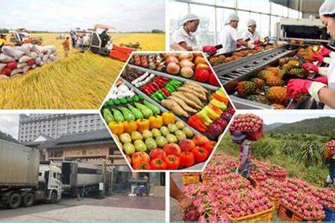 Kết quả nghiên cứu và đề xuất giải pháp ứng phó các biện pháp phòng vệ thương mại đối với sản phẩm nông nghiệp chính tại một số thị trường xuất khẩu chủ lực của Việt Nam