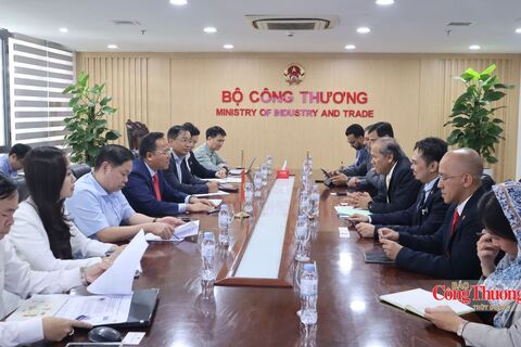 Thứ trưởng Nguyễn Hoàng Long làm việc với Tổng Thư ký Bộ Chuyển dịch Năng lượng và Chuyển đổi Nước Malaysia