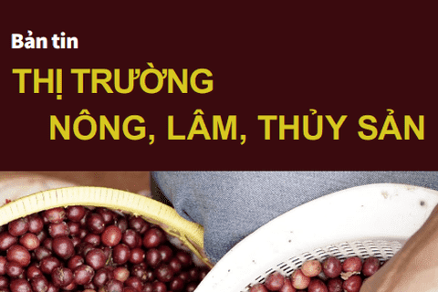 Bản tin Thị trường nông, lâm, thủy sản số ra ngày 31/7/2026