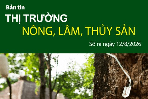 Bản tin Thị trường nông, lâm, thủy sản số ra ngày 12/8/2026