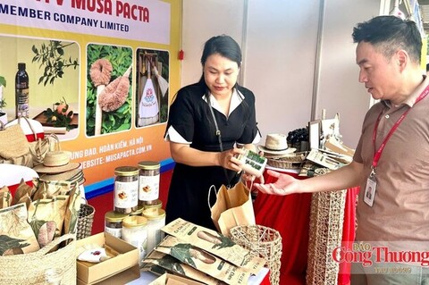 Quy định mới của EU về bao bì xanh