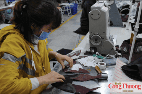 Xúc tiến thương mại: Mở cửa thị trường, nối dài chuỗi cung ứng da giày Việt