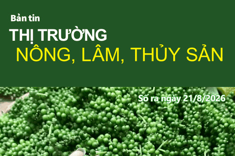 Bản tin Thị trường nông, lâm, thủy sản số ra ngày 21/8/2026