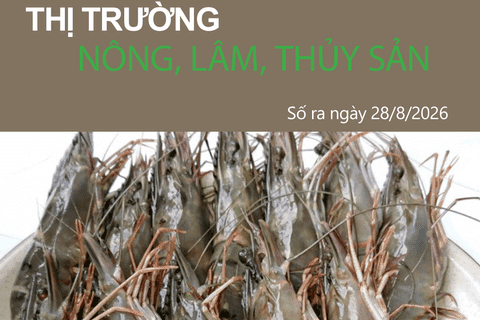 Bản tin Thị trường nông, lâm, thủy sản số ra ngày 28/8/2026