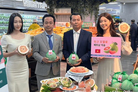 Việt Nam - Hàn Quốc hướng tới mục tiêu kim ngạch thương mại 150 tỷ USD vào năm 2030