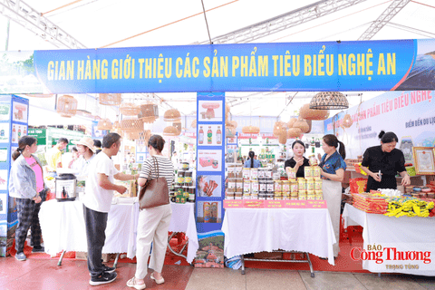 Nghệ An: Phát huy hiệu quả chính sách khuyến công, thúc đẩy doanh nghiệp mở rộng sản xuất