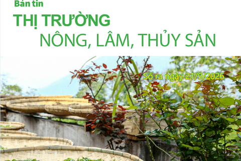 Bản tin Thị trường nông, lâm, thủy sản số ra ngày 21/9/2026