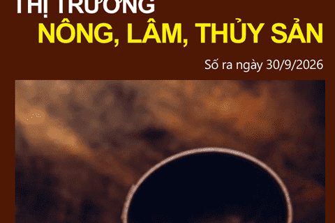Bản tin Thị trường nông, lâm, thủy sản số ra ngày 30/9/2026