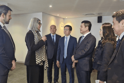 Việt Nam - Nam Phi mở rộng dư địa hợp tác kinh tế