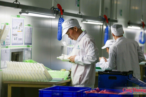Tổ chức lại chuỗi cung ứng: Chìa khóa để doanh nghiệp khai thác sâu CPTPP