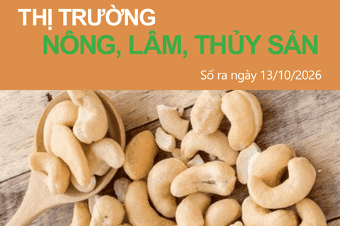 Bản tin Thị trường nông, lâm, thủy sản số ra ngày 13/10/2026