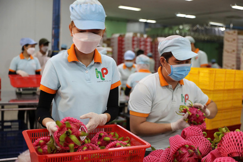 Thực thi Hiệp định RCEP: Khai thác cộng gộp xuất xứ, nâng tầm vị thế hàng Việt