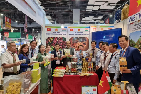 Bản tin thị trường Ấn Độ từ 12/10 đến 18/10/2026