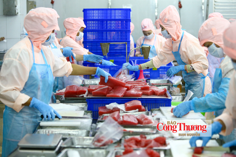 Thực thi Hiệp định RCEP: Khai thác ưu đãi, nâng cao năng lực cạnh tranh cho doanh nghiệp