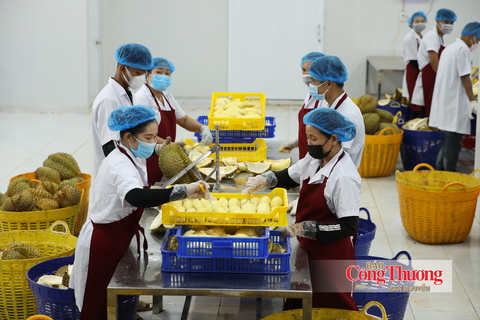 Quy tắc xuất xứ RCEP: ‘Chìa khóa’ để hàng Việt vào chuỗi cung ứng