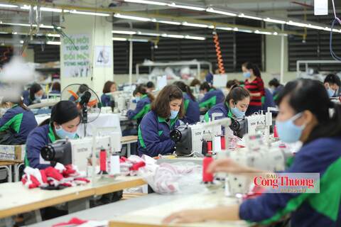 Thiết lập cơ chế cảnh báo sớm, gia tăng cơ hội tiếp cận thị trường RCEP