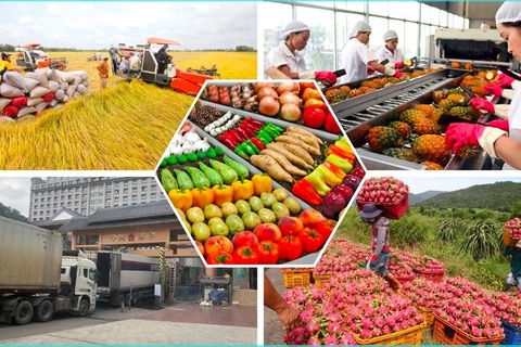 Thực thi hiệu quả các FTA: Động lực thúc đẩy đa dạng hóa thị trường và sản phẩm