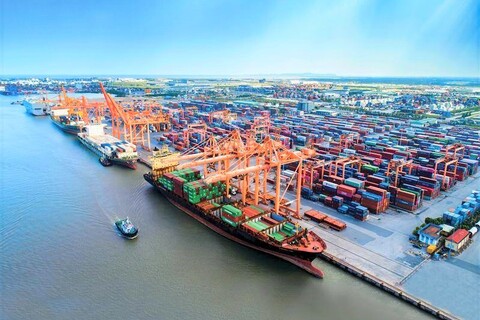 Thúc đẩy kết nối và mở rộng hợp tác đầu tư giữa doanh nghiệp Việt Nam và Hà Lan