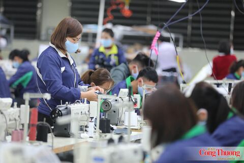 Việt Nam góp sức kết nối doanh nghiệp khối CPTPP, tái cấu trúc nguồn cung