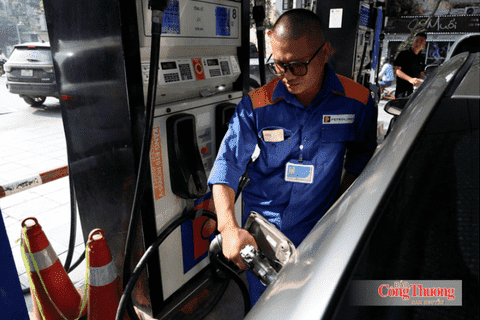 Thông tin về việc điều hành giá xăng dầu ngày 15/10/2026