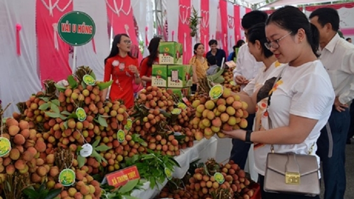 Mời tham gia Chương trình Kết nối giao thương Lễ hội trái cây và rau củ Việt Nam tại Singapore 2025