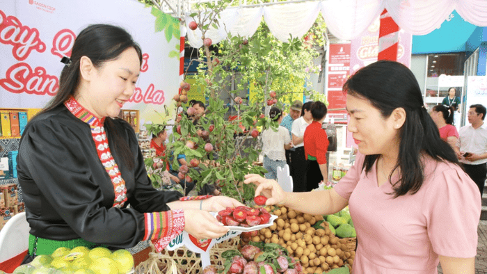Xúc tiến thương mại: "Mở lối" cho sản phẩm Sơn La vươn xa