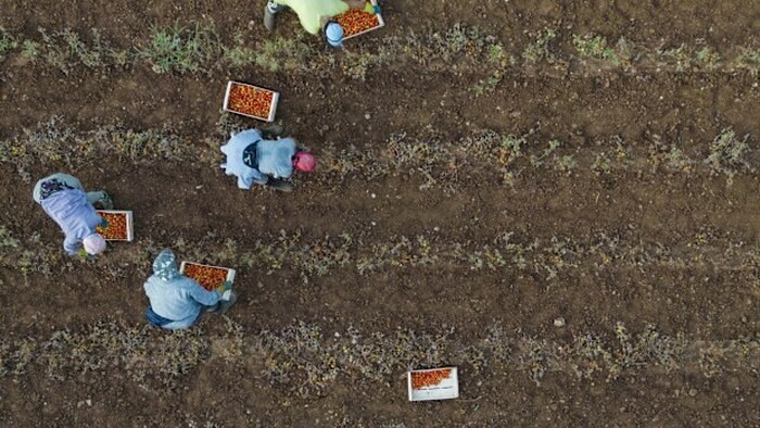 Bản tin thị trường Úc (từ 7/11/2025 đến 14/11/2025)