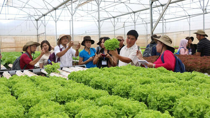 Ninh Bình hướng tới bảo vệ môi trường bền vững