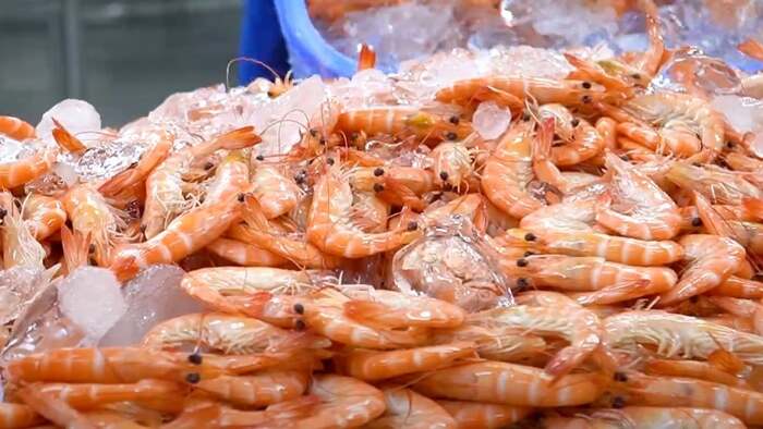 Thương mại giữa Việt Nam và khối CPTPP trong 10 tháng năm 2025 tăng 20,6%