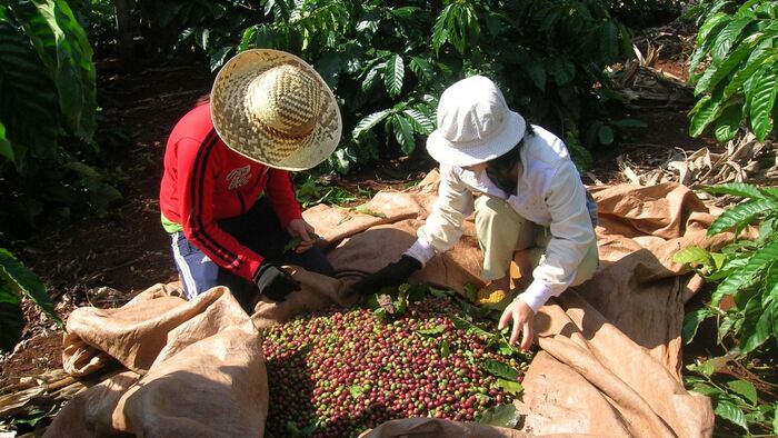 Cấp C/O ưu đãi: Chìa khóa đưa hàng Việt thâm nhập sâu thị trường EU