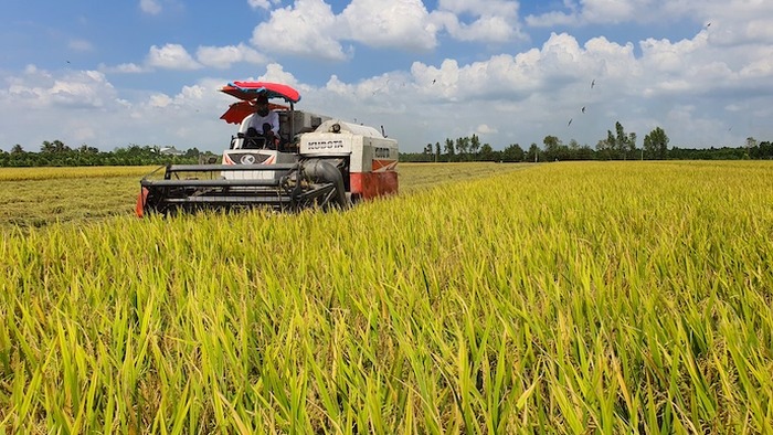 Doanh nghiệp nông sản "đi đường dài" với C/O ưu đãi