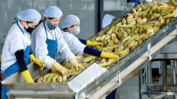 Khi xuất xứ quyết định sức cạnh tranh của hàng Việt