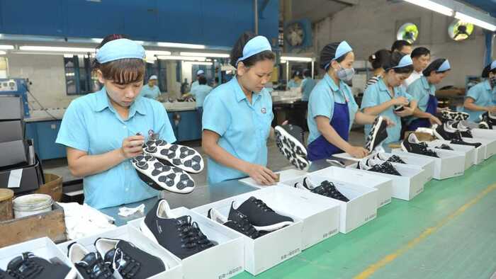 Doanh nghiệp nâng cao nội lực, tận dụng ưu đãi C/O từ FTA